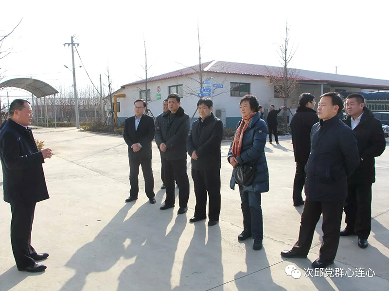 市政協原副主席、民建市委原主委牛惠蘭,市人大常委、民建市委副主委周中穩一行到我公司調研蘆花雞養殖發展情況