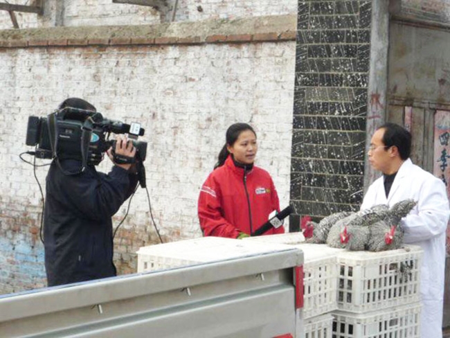 中央七套《致富經》欄目來公司基地拍攝