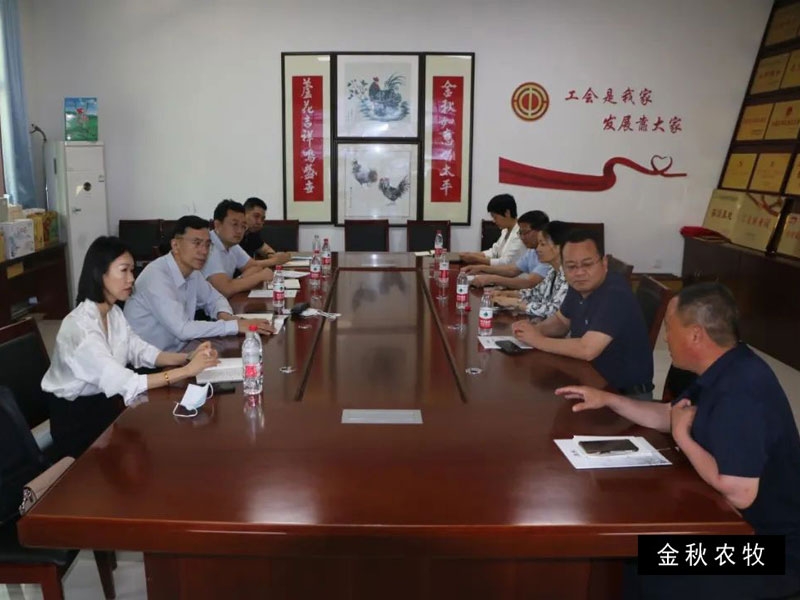 京東科技集團山東大區總經理趙軍杰一行來金秋農牧考察洽談汶上蘆花雞全鏈條產業項目