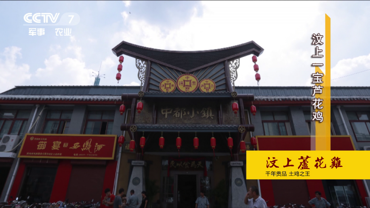 【媒體聚焦】CCTV7   美麗中國鄉村行  |  汶上蘆花雞