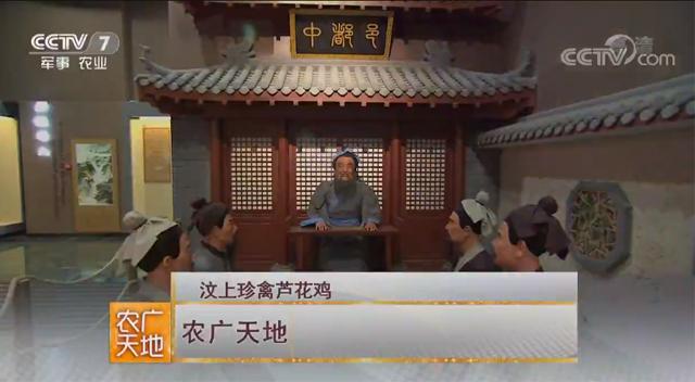 【媒體聚焦】CCTV7  農廣天地 | 汶上珍禽蘆花雞 