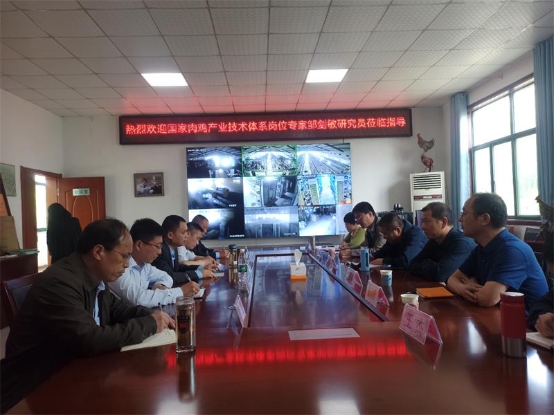 中國(guó)畜牧獸醫(yī)學(xué)會(huì)家禽學(xué)分會(huì)理事長(zhǎng)、中國(guó)農(nóng)業(yè)科學(xué)院家禽研究所所長(zhǎng)鄒劍敏研究員蒞臨金秋農(nóng)牧公司指導(dǎo)汶上蘆花雞保種育種工作