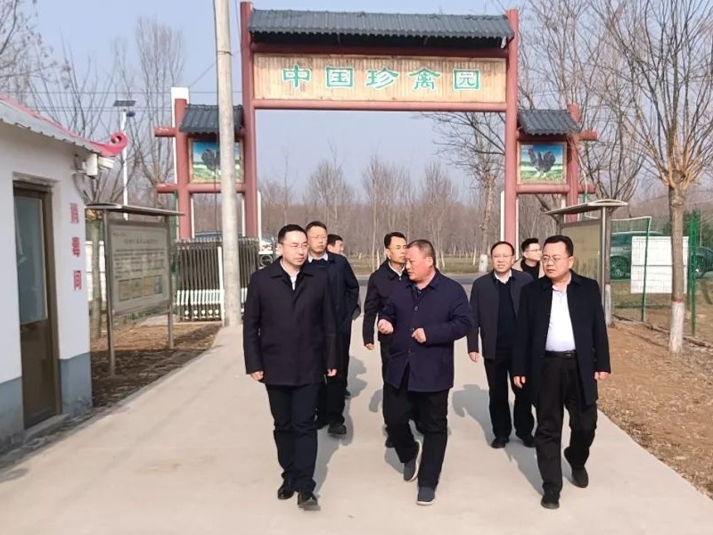 日照市畜牧獸醫(yī)管理服務(wù)中心來金秋農(nóng)牧公司考察調(diào)研汶上蘆花雞發(fā)展保護(hù)工作